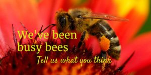 Bee on a flower with caption - we've been busy bees, tell us what you think